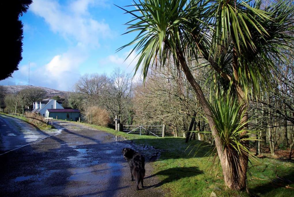 Cargibbitt Annexe Liskeard Exterior foto